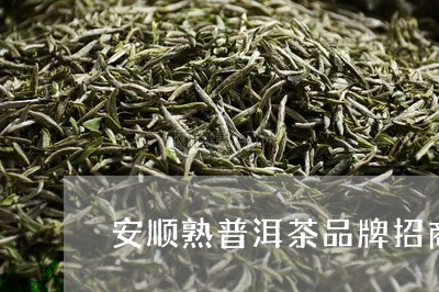 安顺熟普洱茶品牌招商/2023092586149