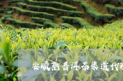 安顺熟普洱茶渠道代理/2023061477067