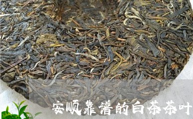 安顺靠谱的白茶茶叶招商/2023101757304