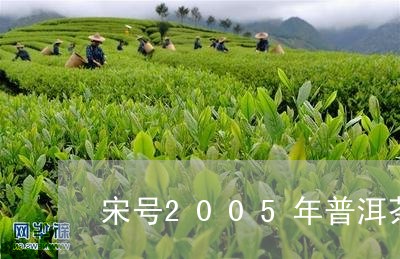 宋号2005年普洱茶生茶/2023081511858