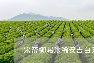 宋帝御赐珍稀安吉白茶/2023092956370