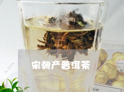 宋朝产普洱茶/2023042601994