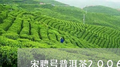 宋聘号普洱茶2006/2023080185036