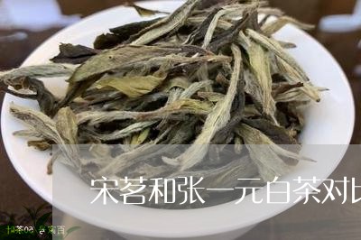 宋茗和张一元白茶对比/2023092972604