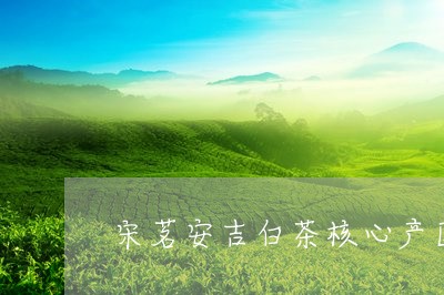 宋茗安吉白茶核心产区/2023093051951