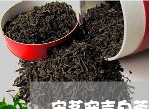 宋茗安吉白茶的泡茶视频/2023101706151