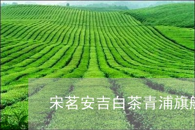 宋茗安吉白茶青浦旗舰店/2023101754826