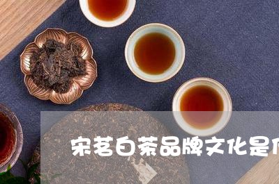 宋茗白茶品牌文化是什么/2023101773949