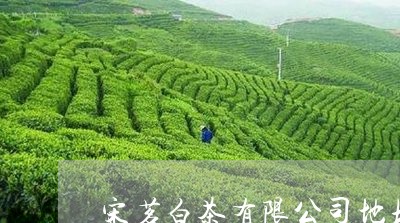 宋茗白茶有限公司地址/2023093031837