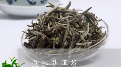 宋郭普洱茶/2023110391604