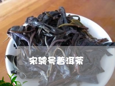 宋骋号普洱茶/2023042919787