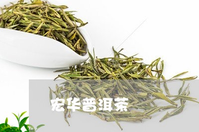 宏华普洱茶/2023090619279