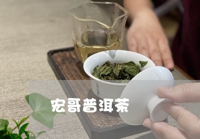 宏哥普洱茶/2023102593836