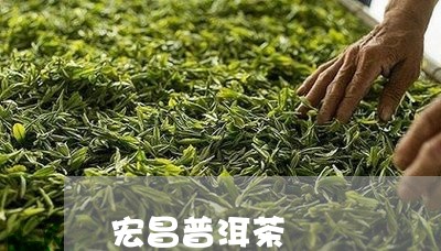 宏昌普洱茶/2023090672715