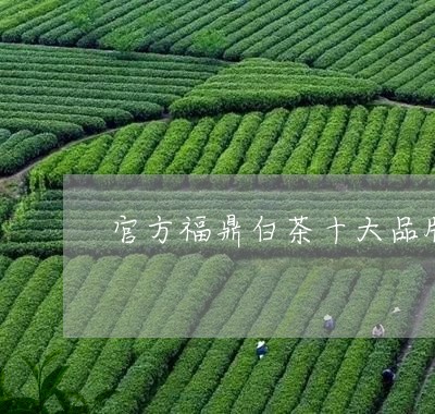 官方福鼎白茶十大品牌/2023093065159