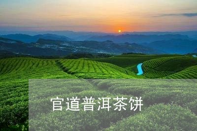 官道普洱茶饼/2023042941079