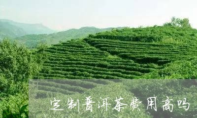 定制普洱茶费用高吗/2023071018504