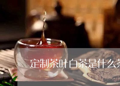 定制茶叶白茶是什么茶种/2023101706360