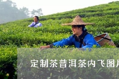 定制茶普洱茶内飞图片/2023100867360