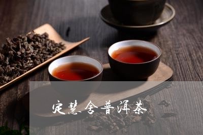 定慧舍普洱茶/2023042574856