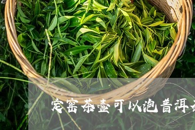 定窑茶壶可以泡普洱茶吗/2023112518360