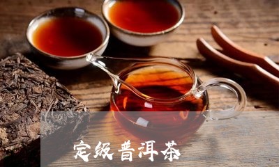 定级普洱茶/2023090561823