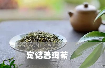 定结普洱茶/2023090525382