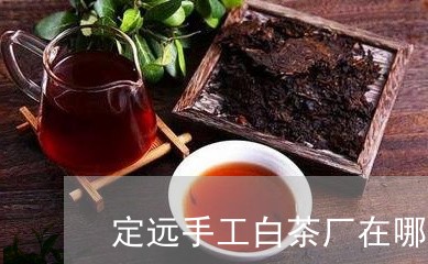 定远手工白茶厂在哪里/2023093079382