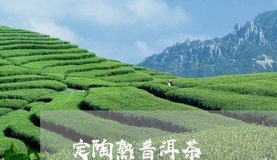 定陶熟普洱茶/2023042682948