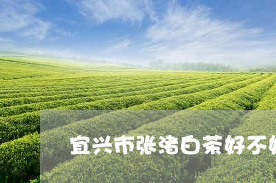 宜兴市张渚白茶好不好/2023093050472