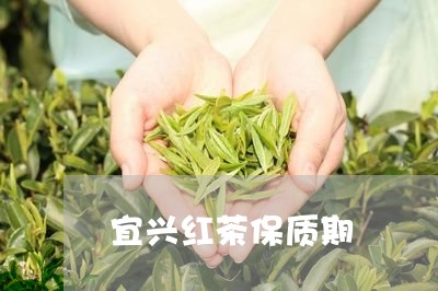 宜兴红茶保质期/2023042914595