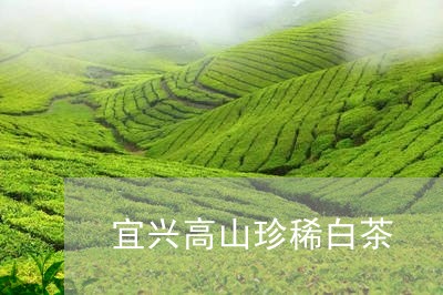 宜兴高山珍稀白茶/2023061812685