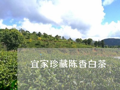 宜家珍藏陈香白茶/2023061851481