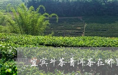 宜宾斗茶普洱茶在哪里/2023100841137