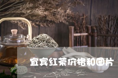 宜宾红茶价格和图片/2023042302605