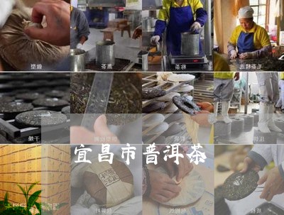 宜昌市普洱茶/2023042812503