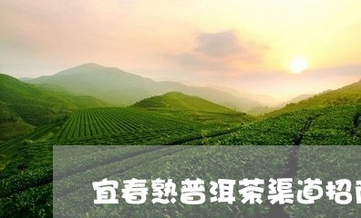 宜春熟普洱茶渠道招商/2023092583893