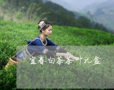 宜春白茶茶叶礼盒/2023061882736