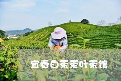 宜春白茶茶叶茶馆/2023061862969