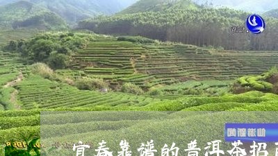 宜春靠谱的普洱茶招商/2023061482827