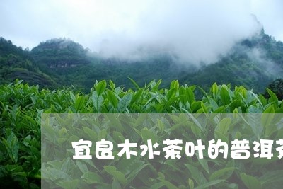 宜良木水茶叶的普洱茶/2023093057493