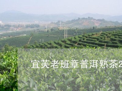 宜芙老班章普洱熟茶2016年/2023053144926