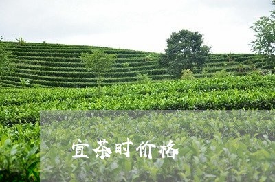 宜茶时价格/2023090268472