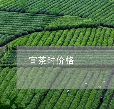 宜茶时价格/2023122005059