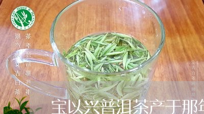 宝以兴普洱茶产于那年/2023062318582