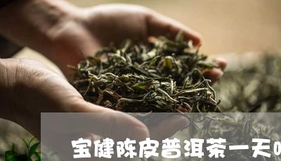 宝健陈皮普洱茶一天喝多少/2023110233058