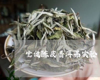 宝健陈皮普洱茶实验/2023120515158