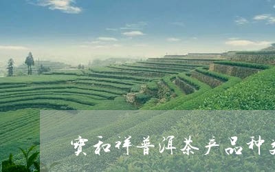 宝和祥普洱茶产品种类/2023062168348