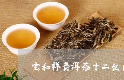 宝和祥普洱茶十二生肖/2023092972592