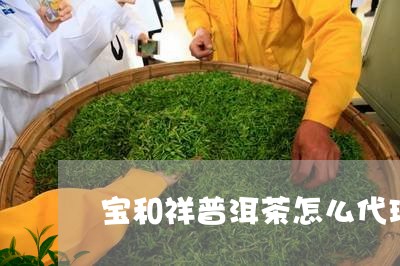 宝和祥普洱茶怎么代理/2023092585350